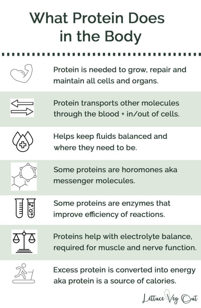 Functions of protein in the body for vegans