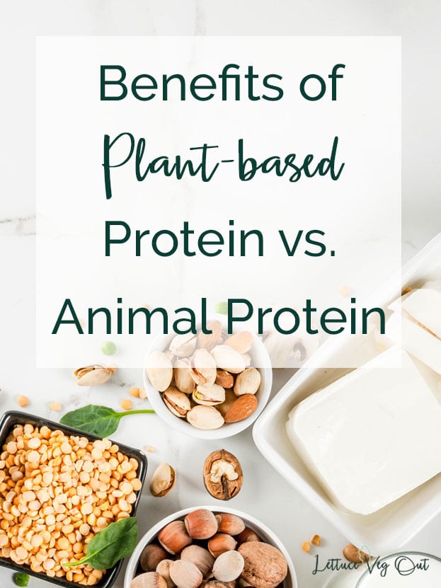 Benefits of Plant-based Protein vs Animal Protein