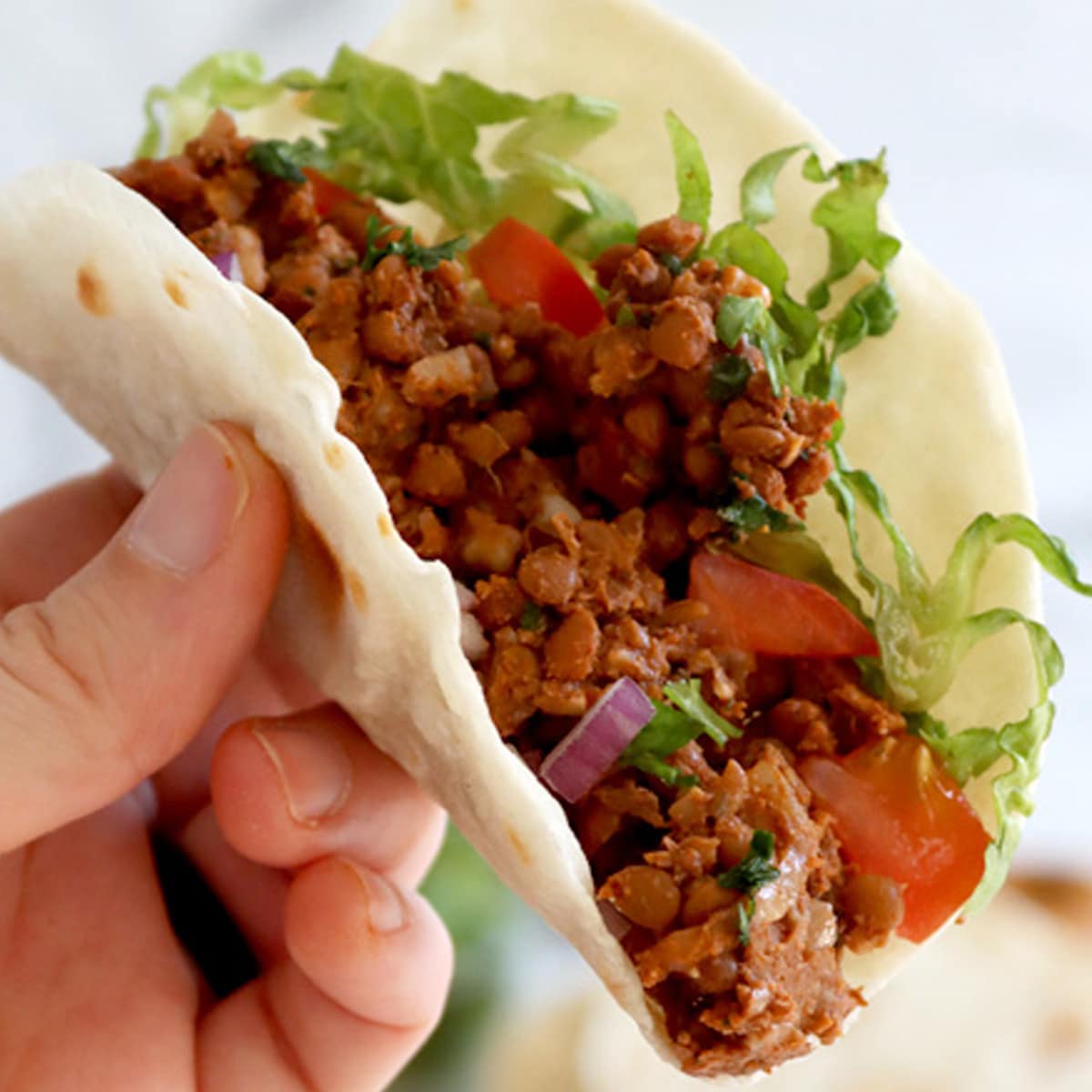 Close up of a hand holding a small taco filled with lentil walnut "meat", lettuce, tomato and onion.