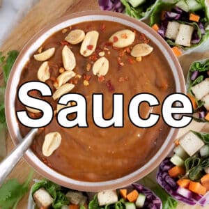 Vegan Dip and Sauce Recipes
