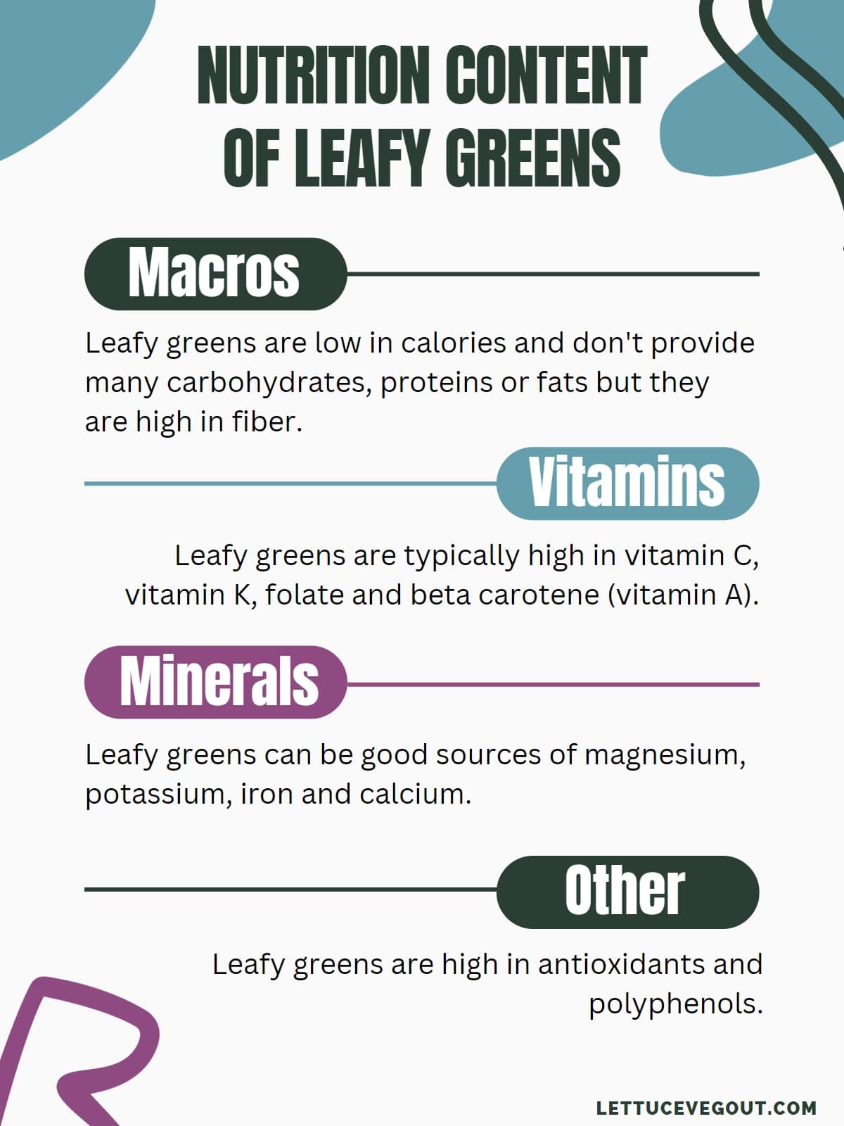 Infographic with the general nutrition content of leafy greens (macros, vitamins, minerals, other).